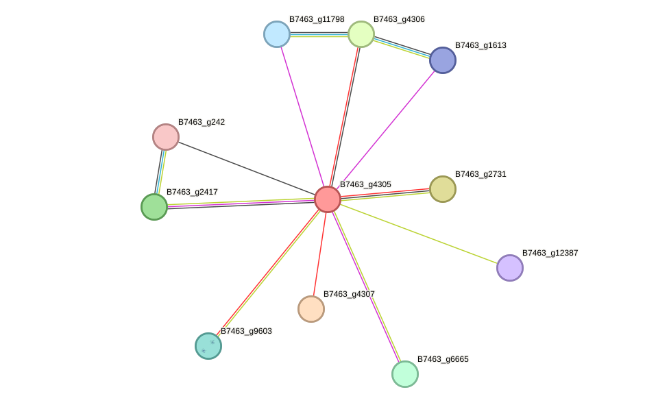 STRING protein interaction network