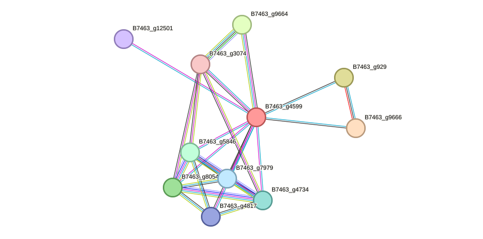 STRING protein interaction network