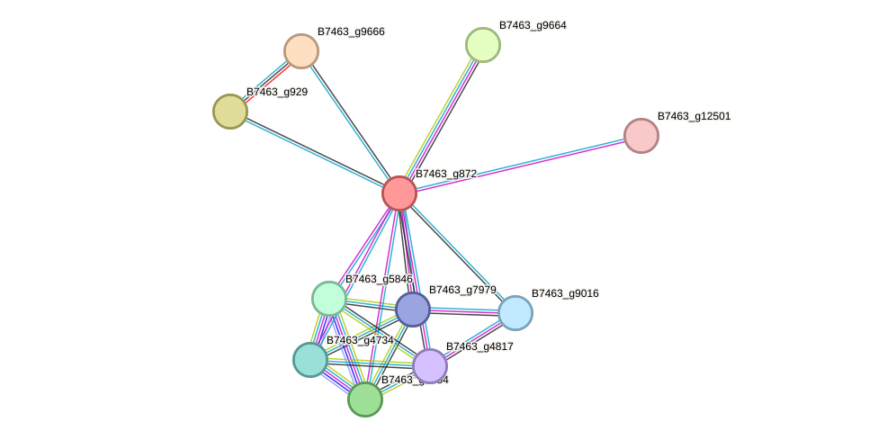 STRING protein interaction network