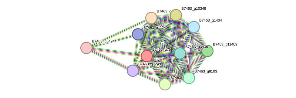 STRING protein interaction network