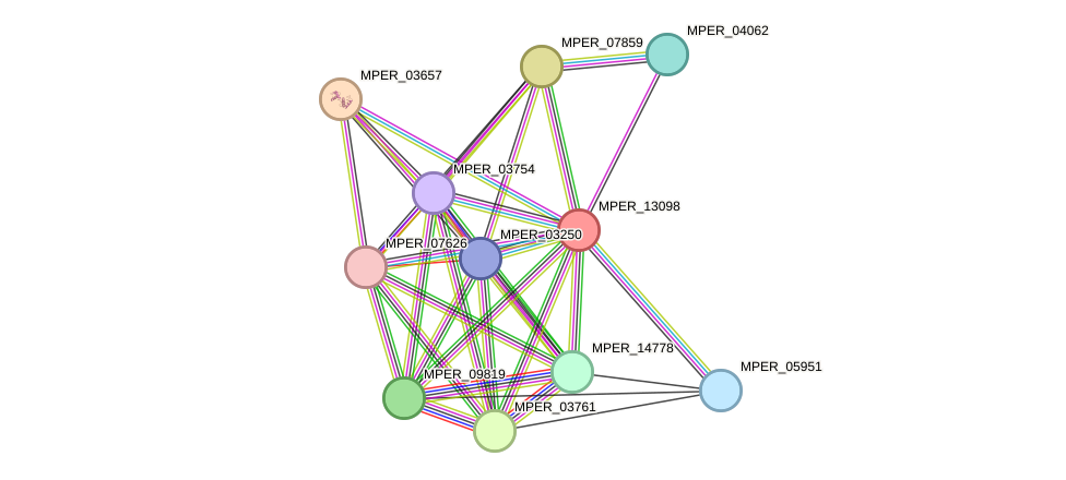 STRING protein interaction network