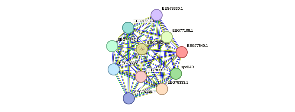 STRING protein interaction network