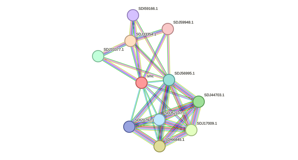 STRING protein interaction network