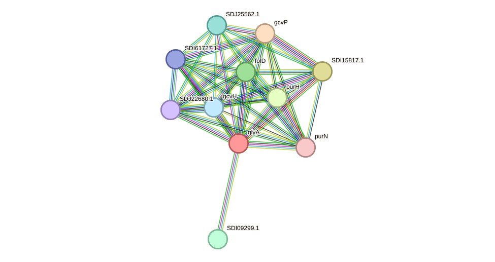 STRING protein interaction network