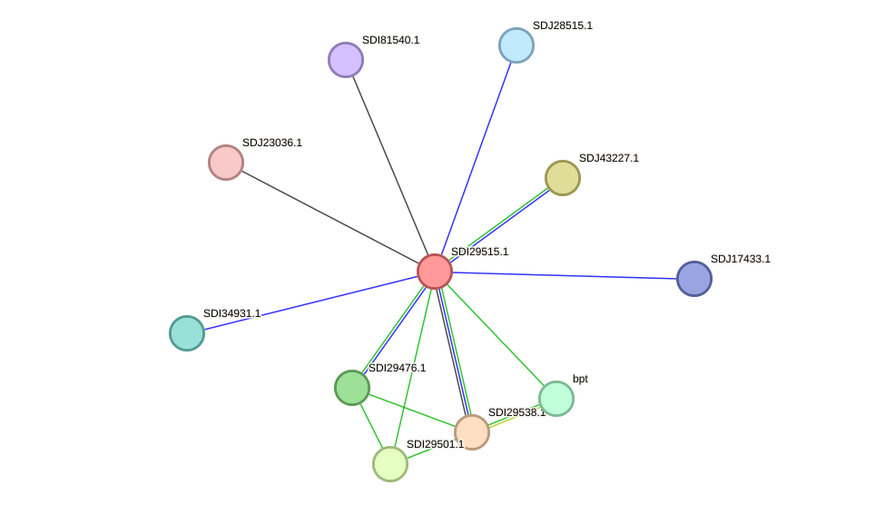 STRING protein interaction network