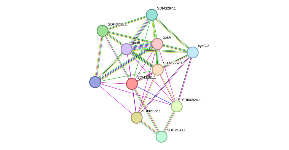 STRING protein interaction network