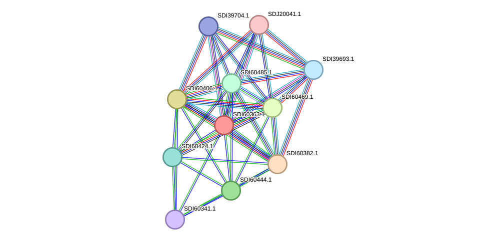 STRING protein interaction network