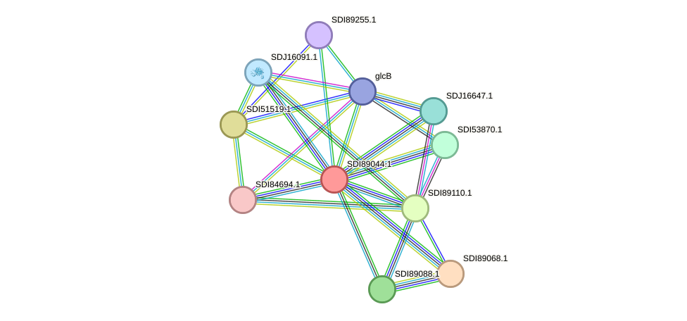 STRING protein interaction network