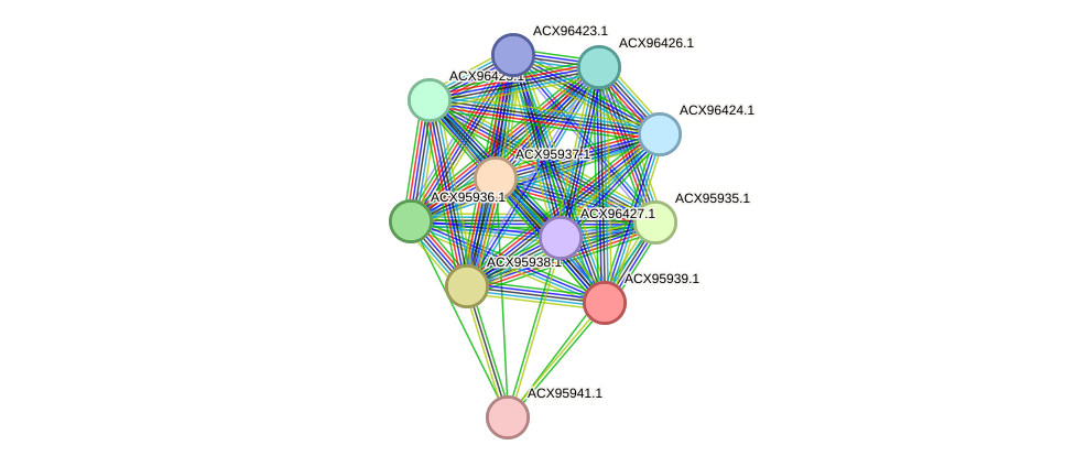 STRING protein interaction network