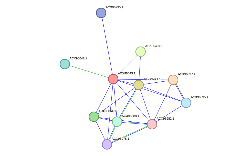 STRING protein interaction network