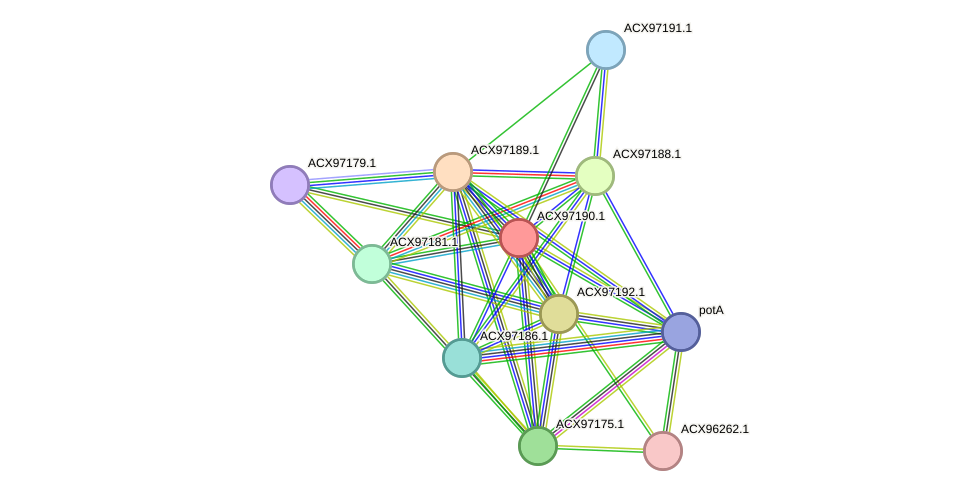 STRING protein interaction network