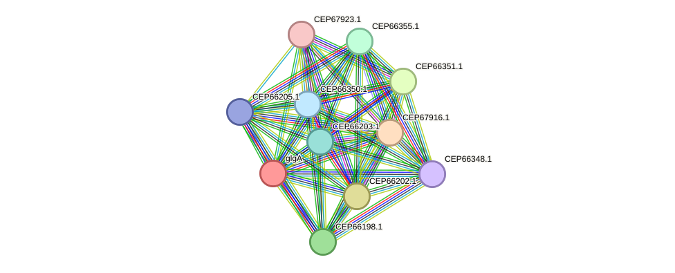 STRING protein interaction network