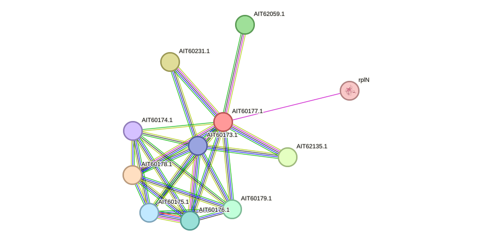 STRING protein interaction network