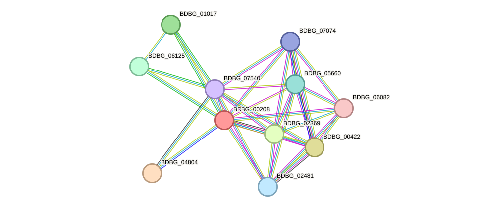 STRING protein interaction network