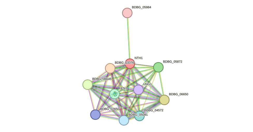 STRING protein interaction network