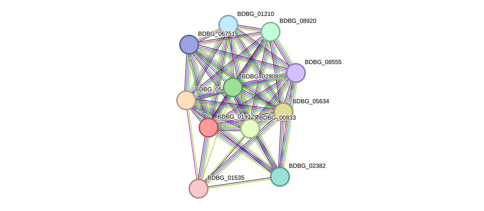 STRING protein interaction network