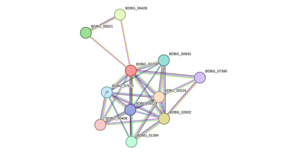 STRING protein interaction network