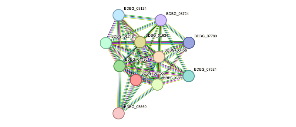 STRING protein interaction network