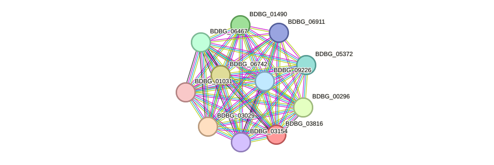 STRING protein interaction network