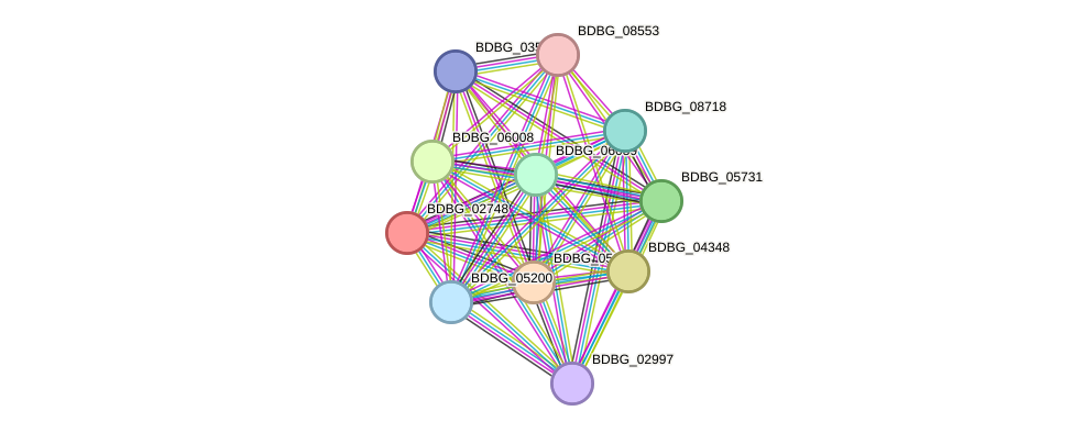 STRING protein interaction network