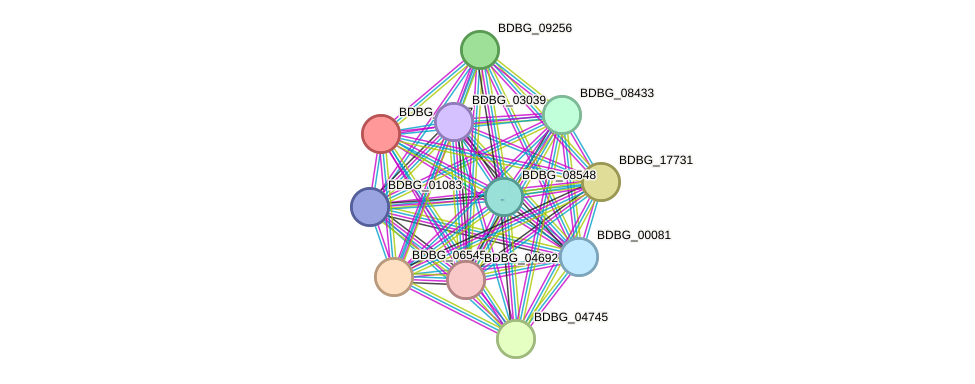 STRING protein interaction network