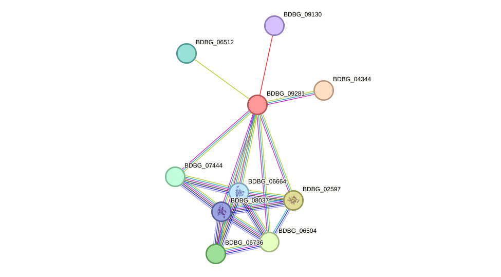 STRING protein interaction network