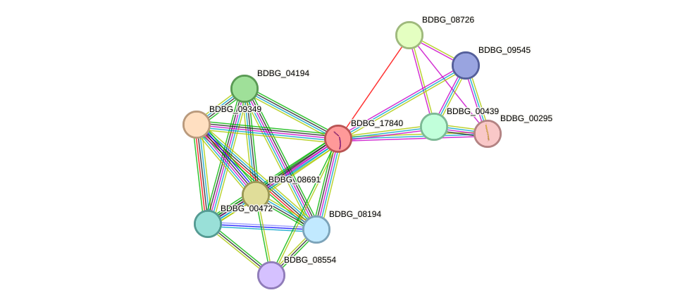 STRING protein interaction network