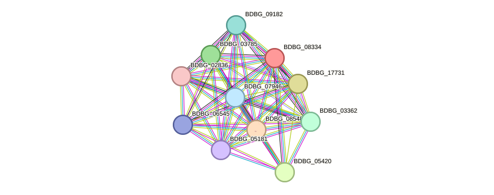 STRING protein interaction network