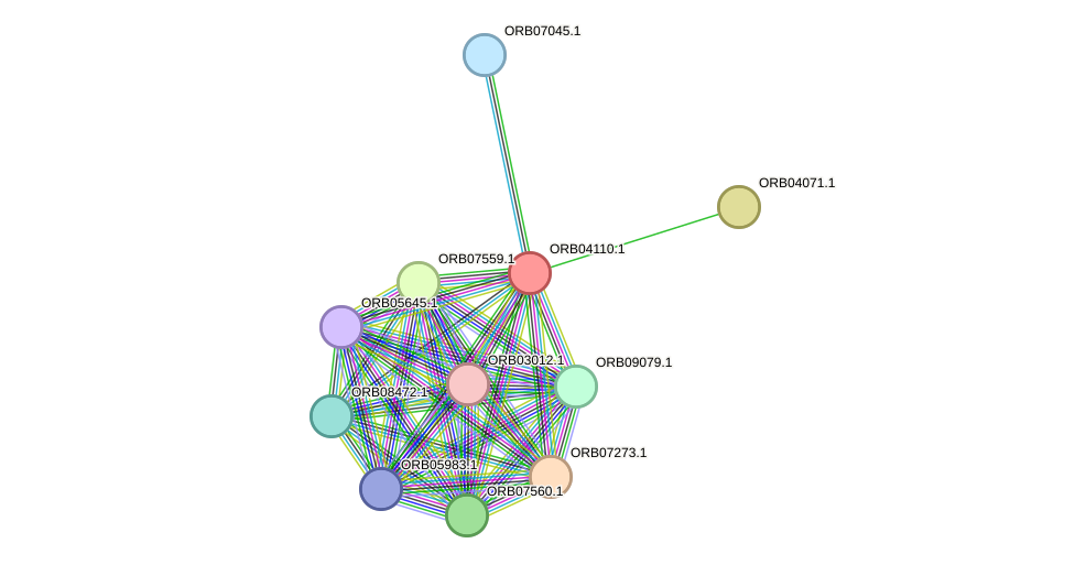 STRING protein interaction network
