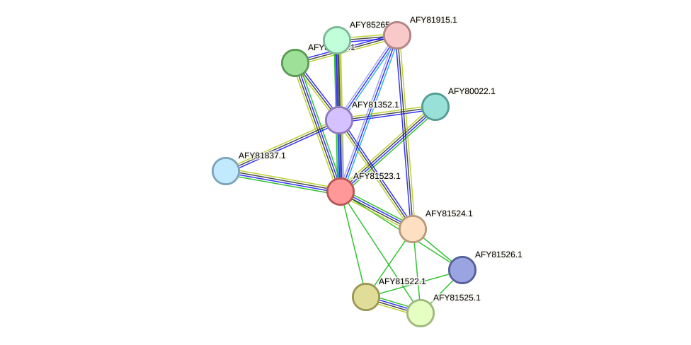 STRING protein interaction network