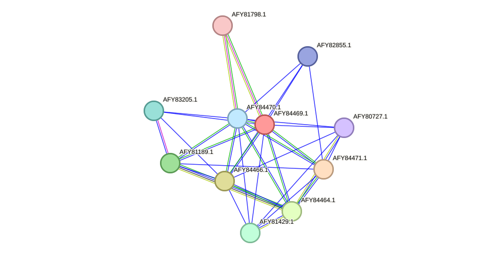 STRING protein interaction network