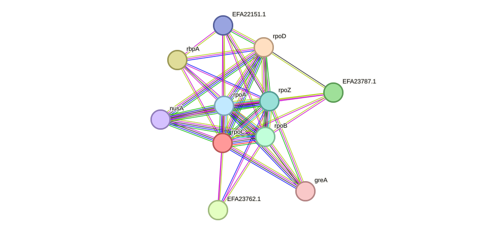 STRING protein interaction network