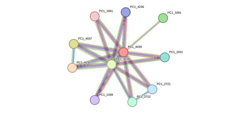 STRING protein interaction network