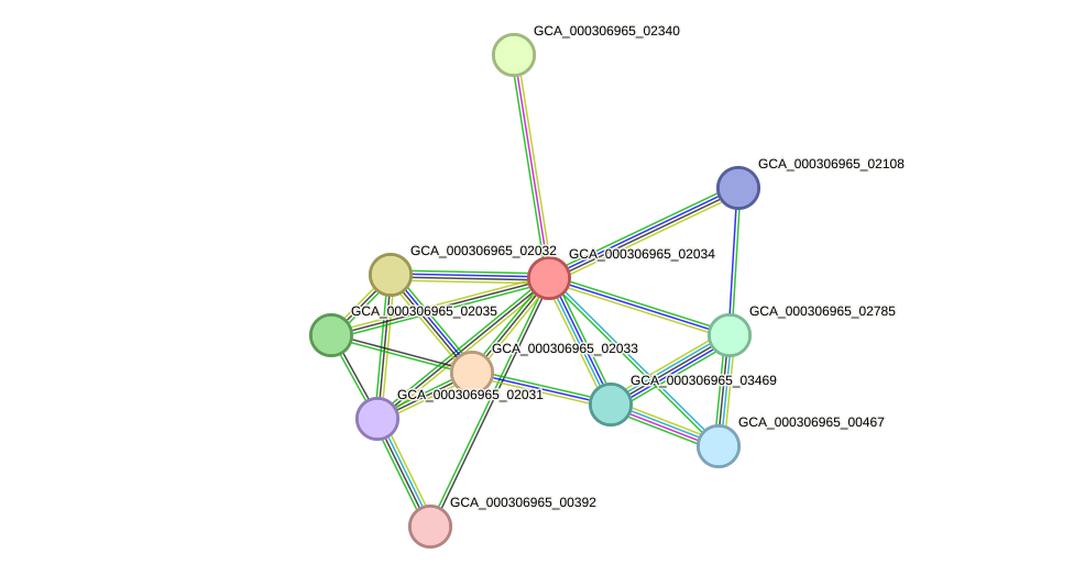 STRING protein interaction network