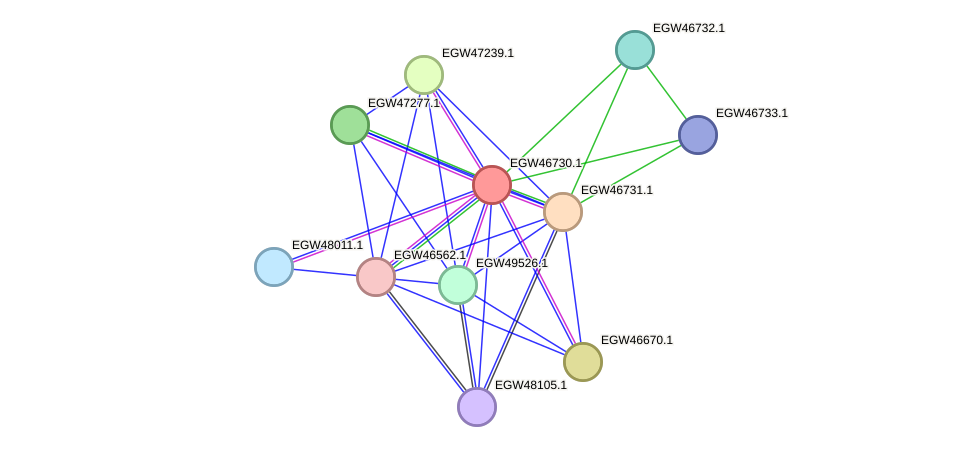 STRING protein interaction network