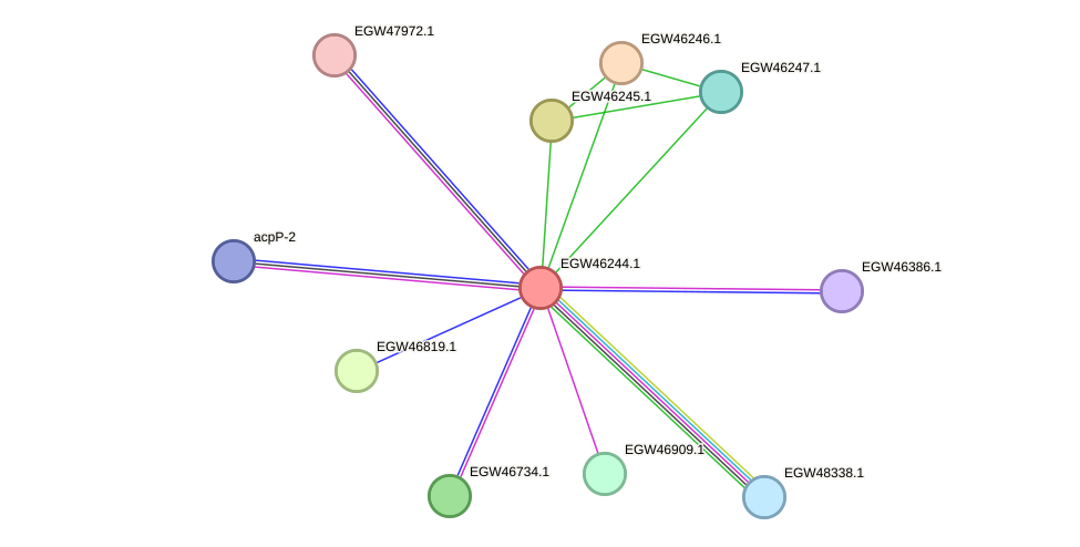 STRING protein interaction network