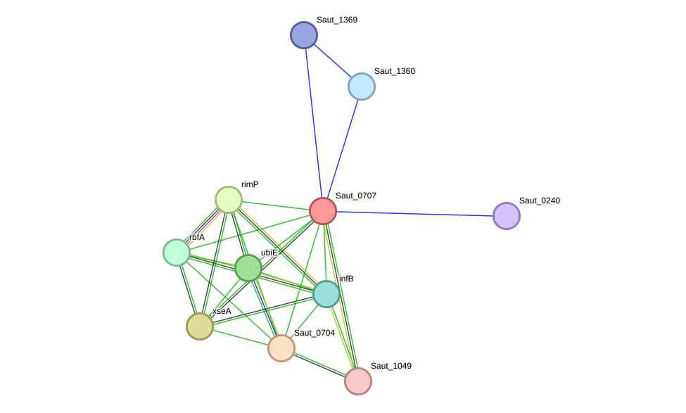 STRING protein interaction network