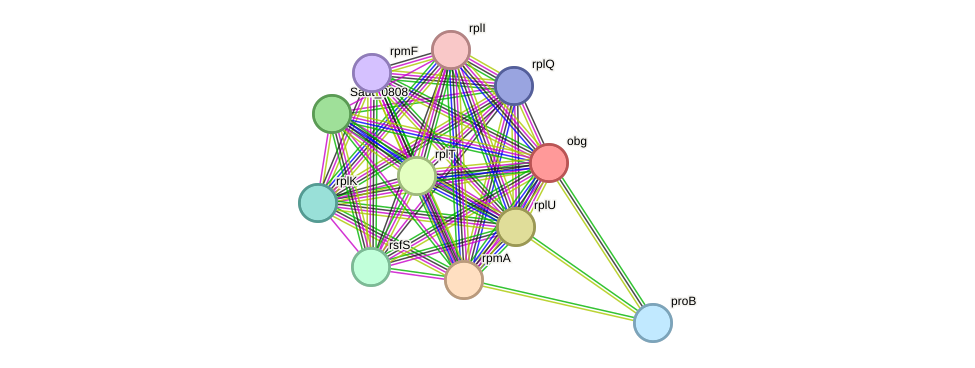 STRING protein interaction network