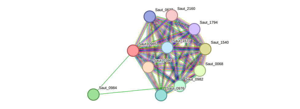 STRING protein interaction network