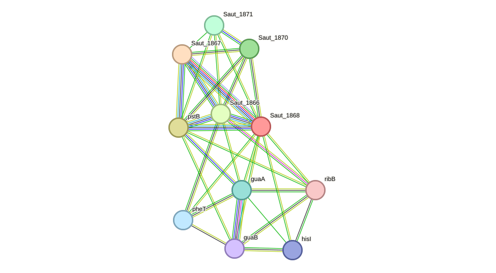 STRING protein interaction network