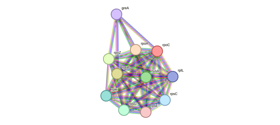 STRING protein interaction network