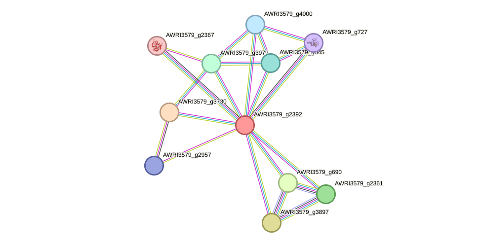 STRING protein interaction network