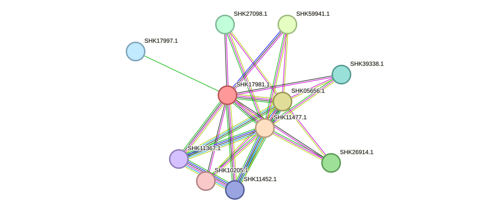 STRING protein interaction network