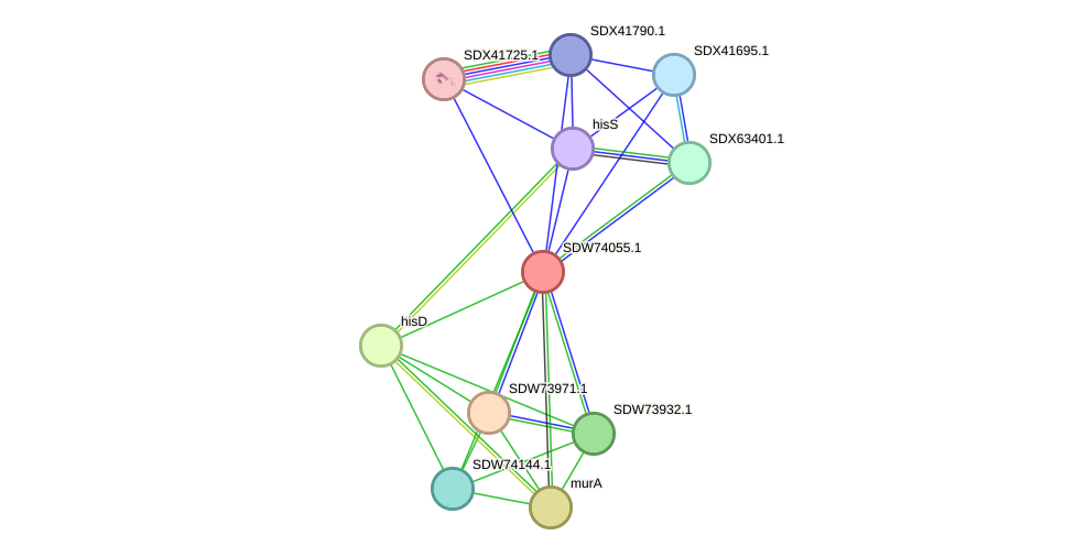 STRING protein interaction network