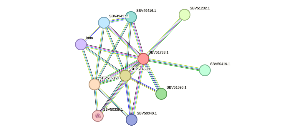 STRING protein interaction network