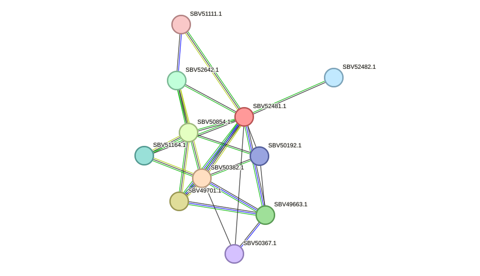 STRING protein interaction network