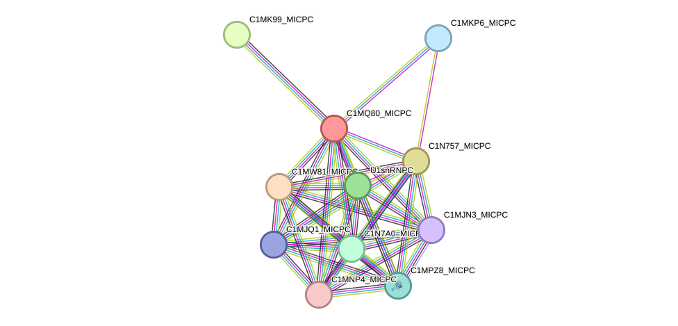 STRING protein interaction network