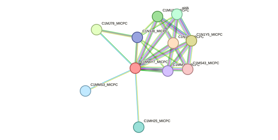 STRING protein interaction network