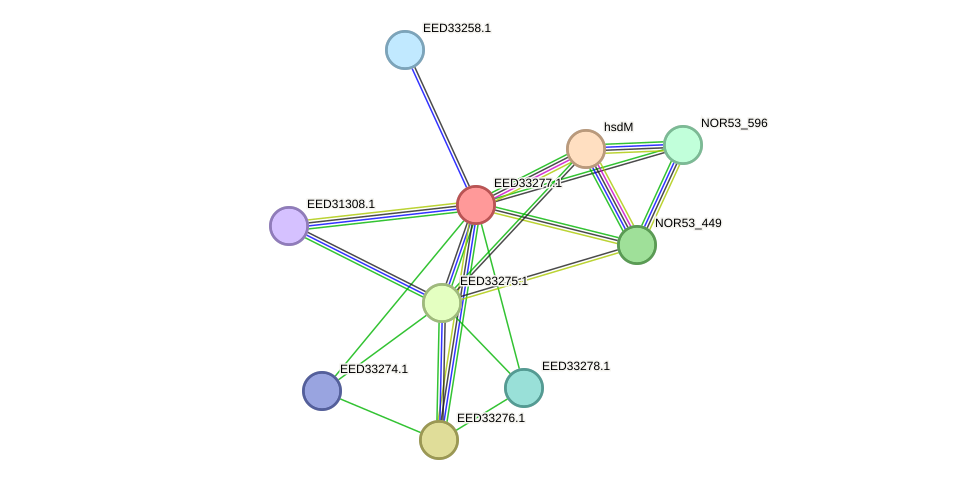 STRING protein interaction network