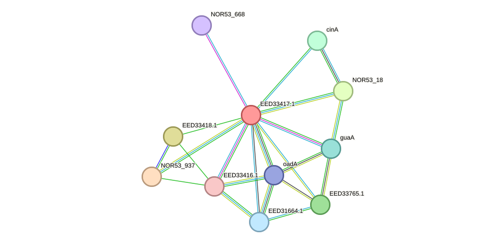 STRING protein interaction network